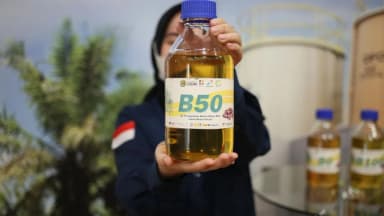B50 Resmi Didorong, Apa Dampaknya bagi Harga BBM, Sawit, dan Emisi?