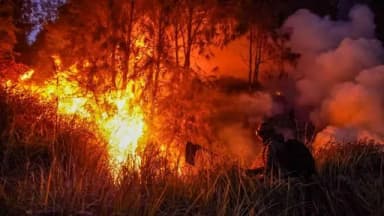 Karhutla Kalimantan Makin Meluas: Siapa Bertanggung Jawab atas Kabut Asap yang Berulang?