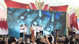 Prabowo Resmikan 11 Proyek Hilirisasi Rp180 Triliun, Siapa Saja Pemiliknya?