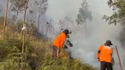 Karhutla Gunung Lawu Meluas hingga 490 Hektare, Warga dan Fasilitas Sekitar Diwaspadai